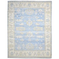 Traditional-Persian/Oriental Hand Knotted Wool blue 9' x 12' Rug